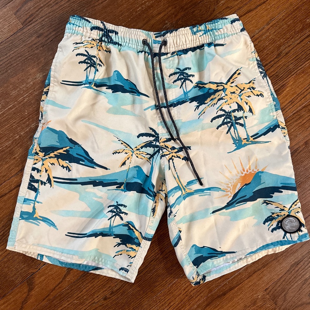 O’Neill Cruzers Men’s swim trunks